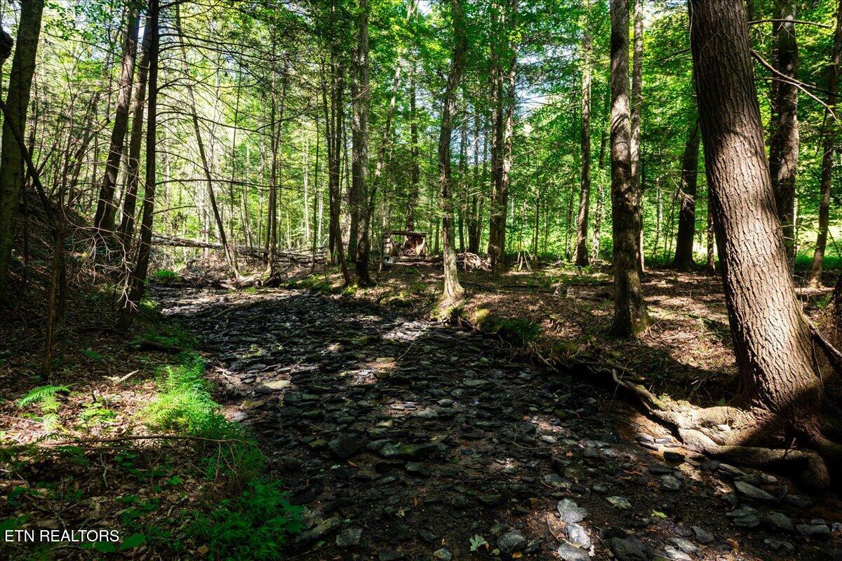 755 Bear Branch Road Wartburg TN 37887