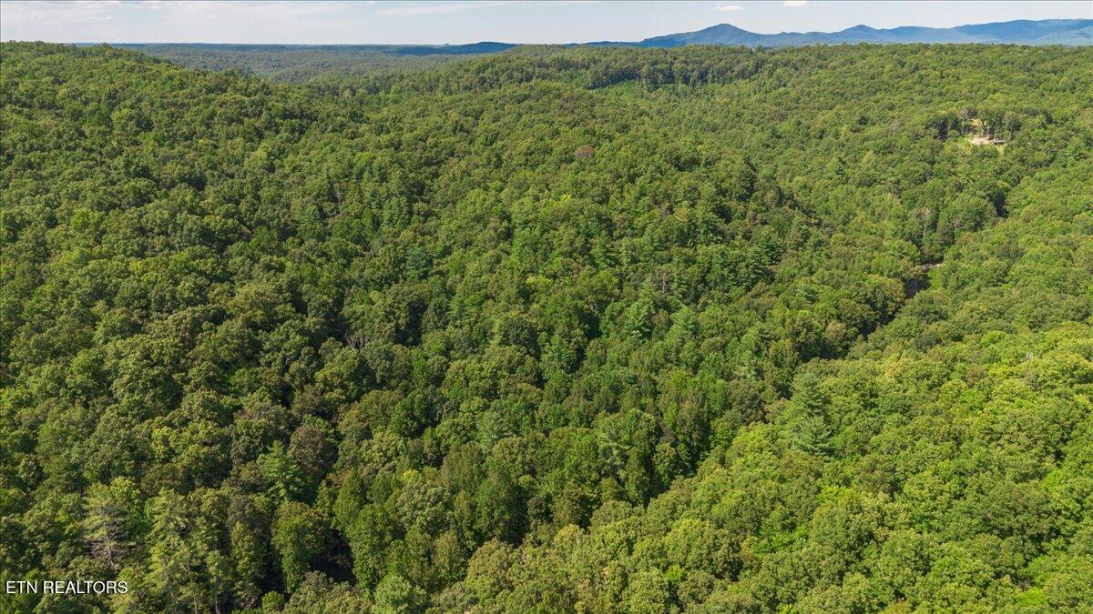 755 Bear Branch Road Wartburg TN 37887