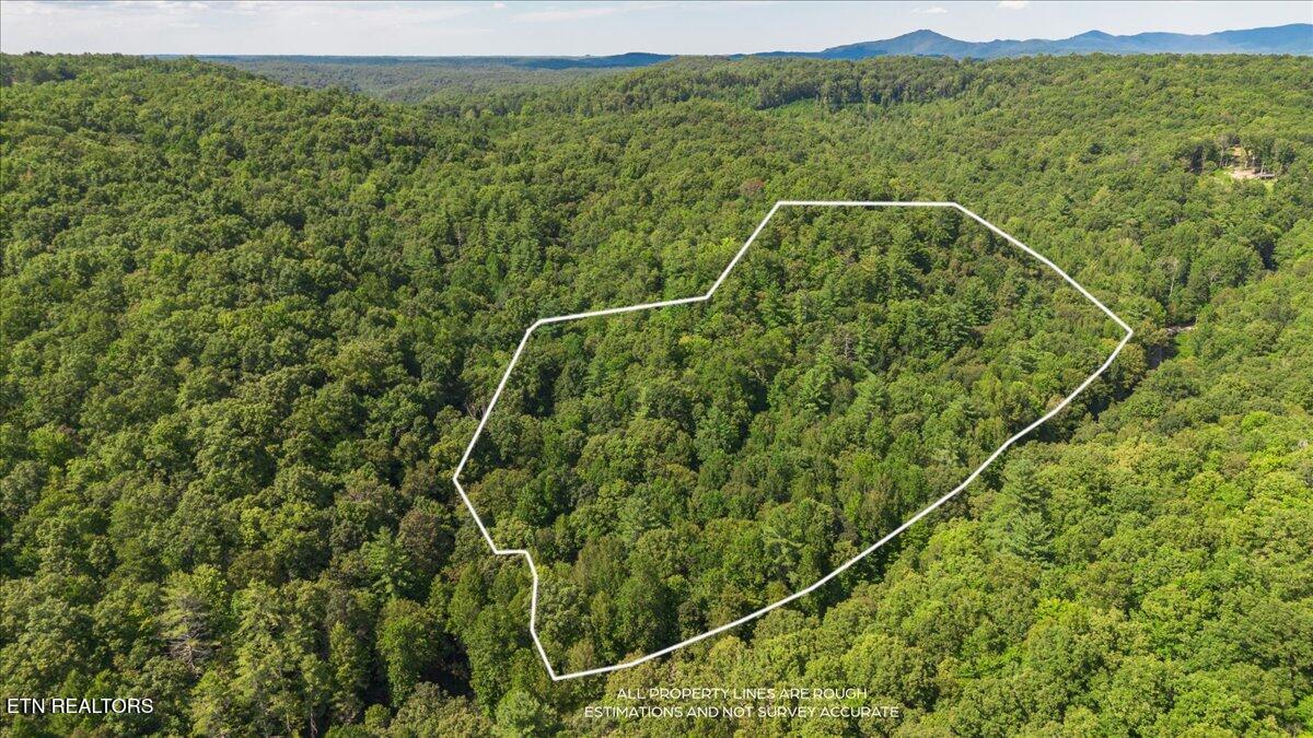 755 Bear Branch Road Wartburg TN 37887