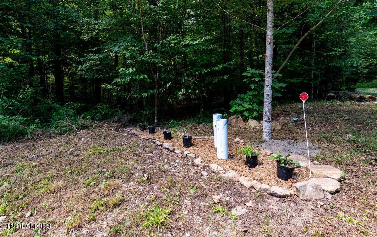 755 Bear Branch Road Wartburg TN 37887