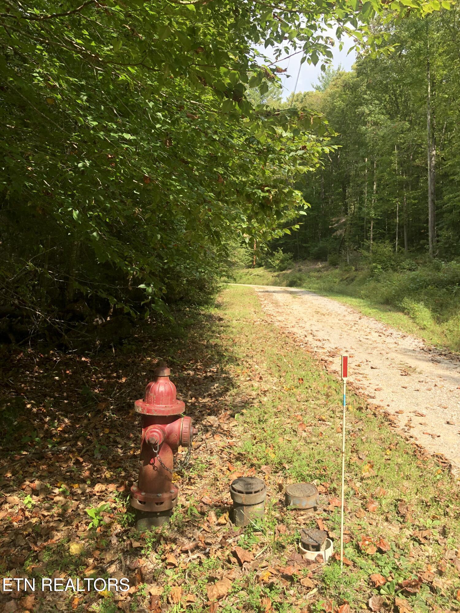 755 Bear Branch Road Wartburg TN 37887