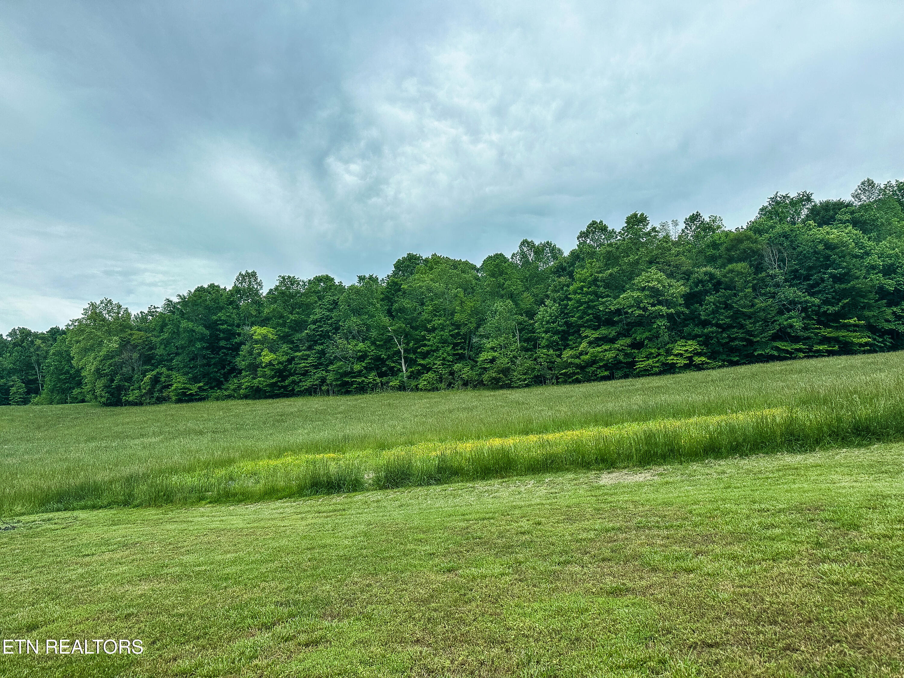 601 Blue Springs Road Speedwell TN 37870