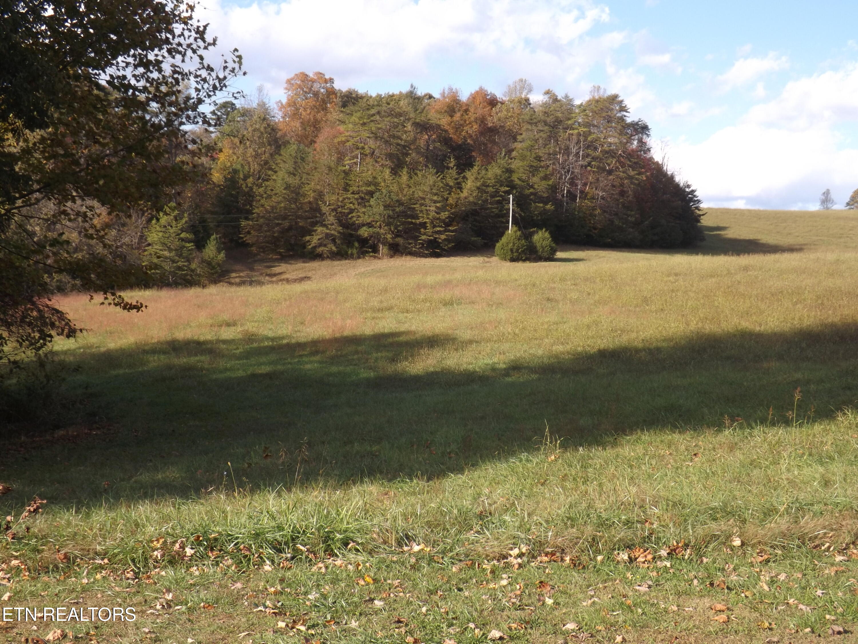 601 Blue Springs Road Speedwell TN 37870