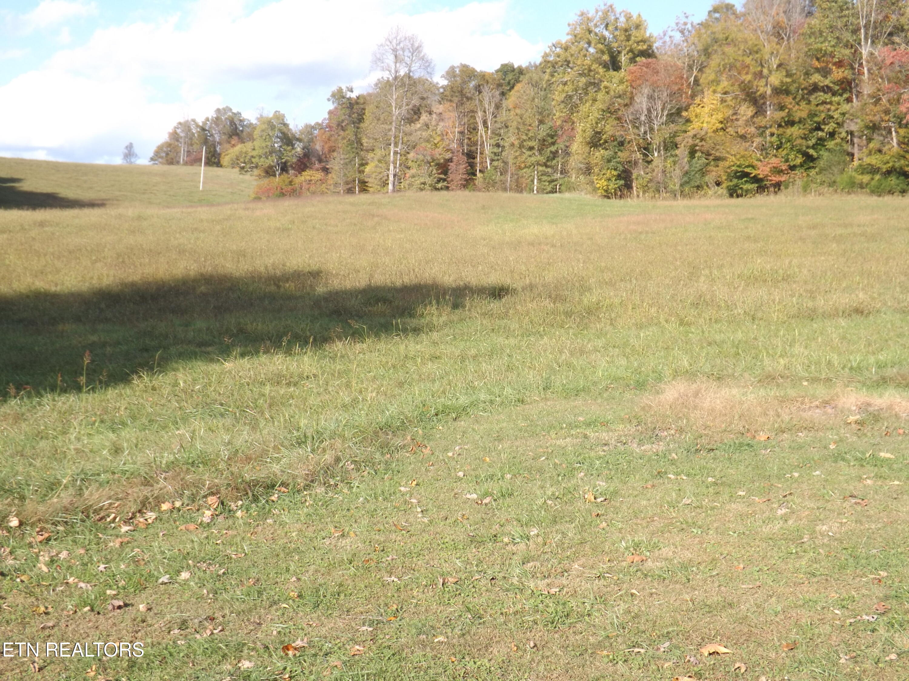 601 Blue Springs Road Speedwell TN 37870