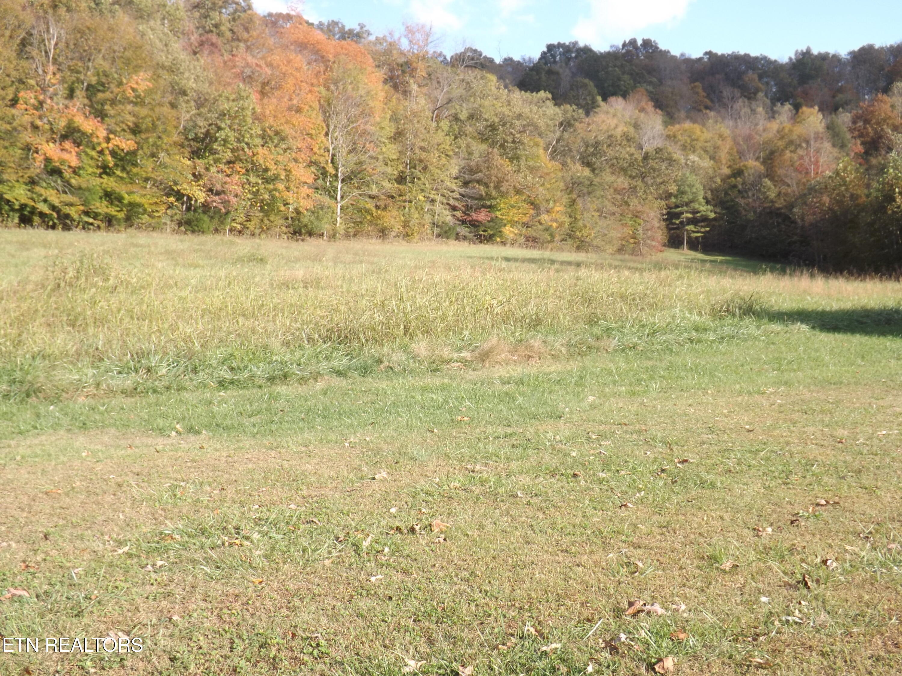 601 Blue Springs Road Speedwell TN 37870