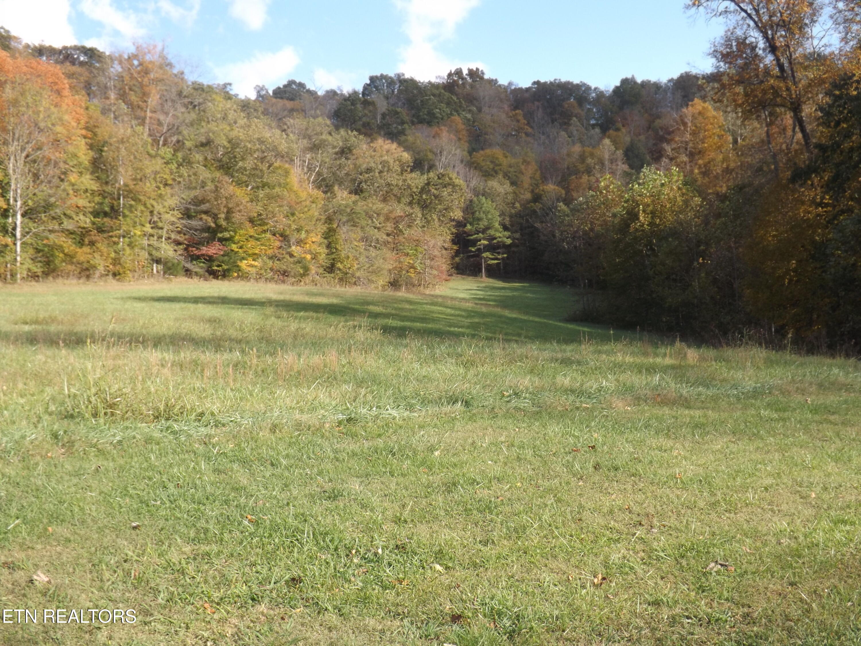 601 Blue Springs Road Speedwell TN 37870