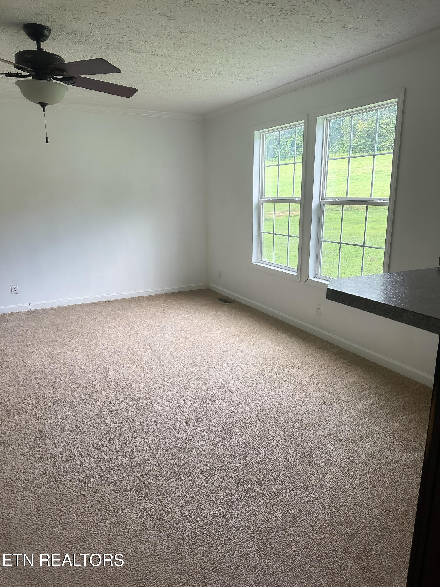 601 Blue Springs Road Speedwell TN 37870