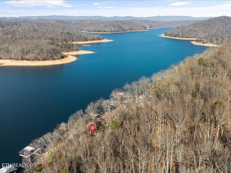 310 Hagaman Lane Andersonville TN 37705