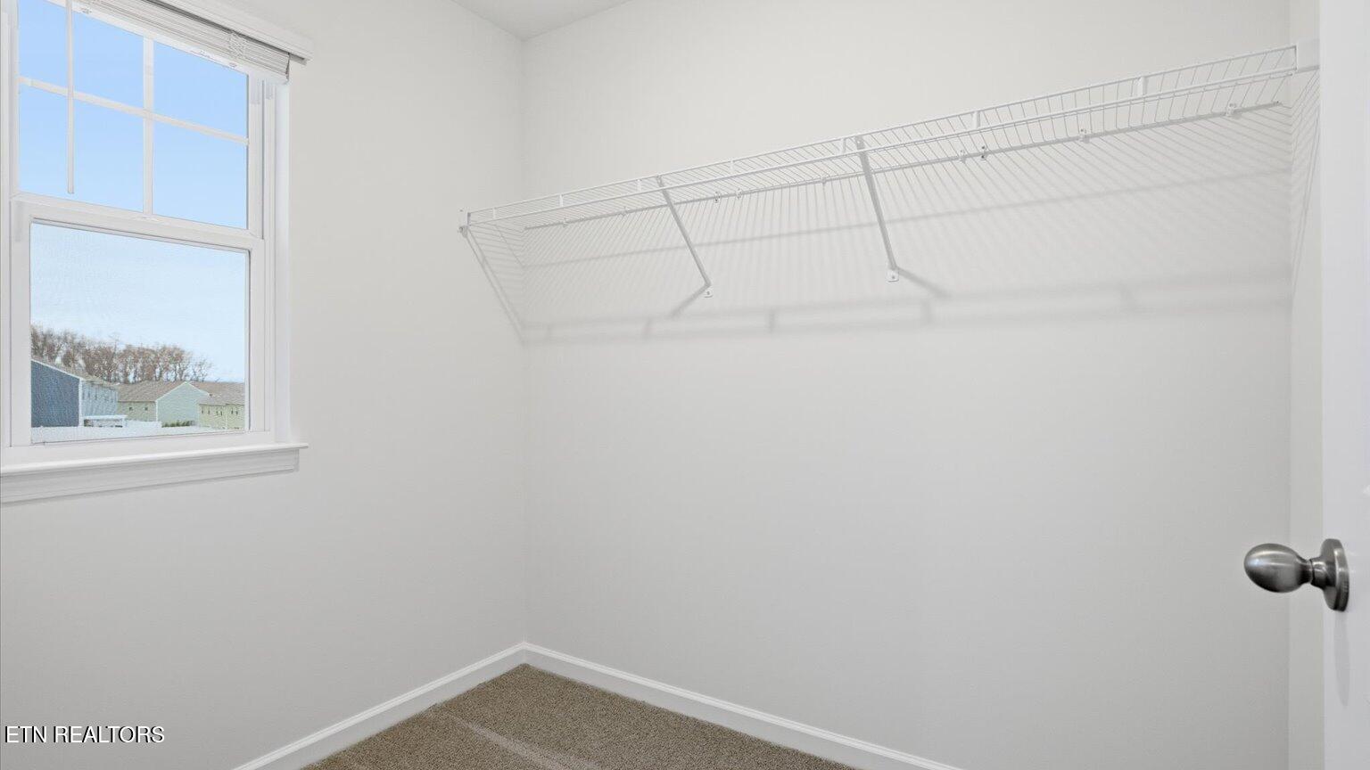 136 Jace Way Kodak TN 37764