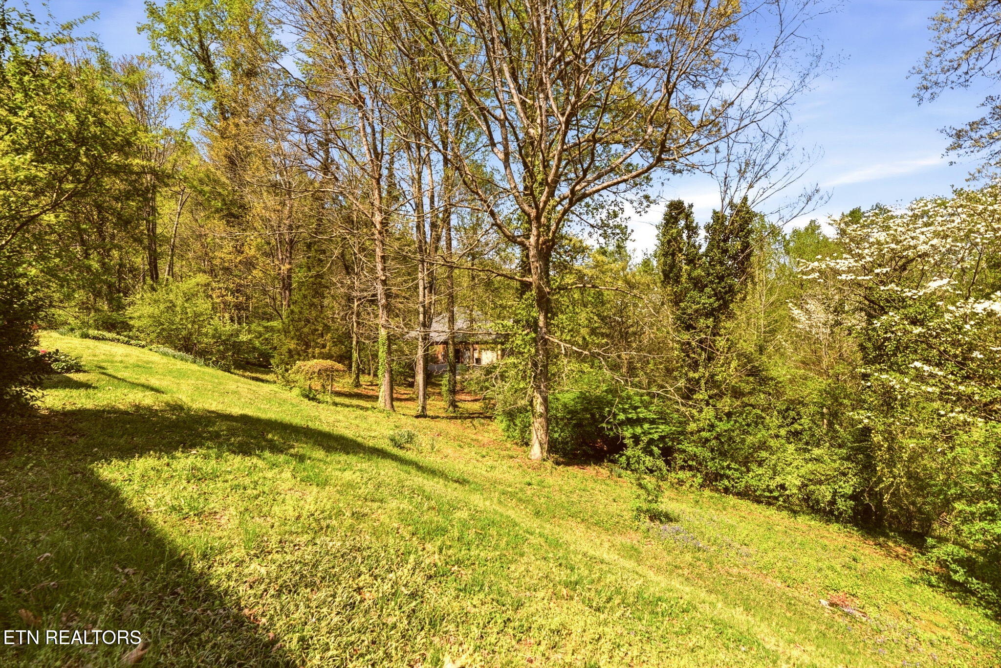 116 Caldwell Drive Oak Ridge TN 37830