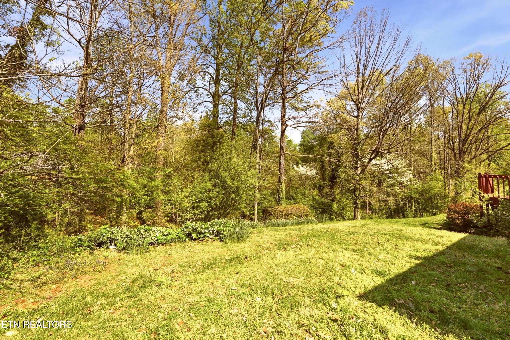 116 Caldwell Drive Oak Ridge TN 37830