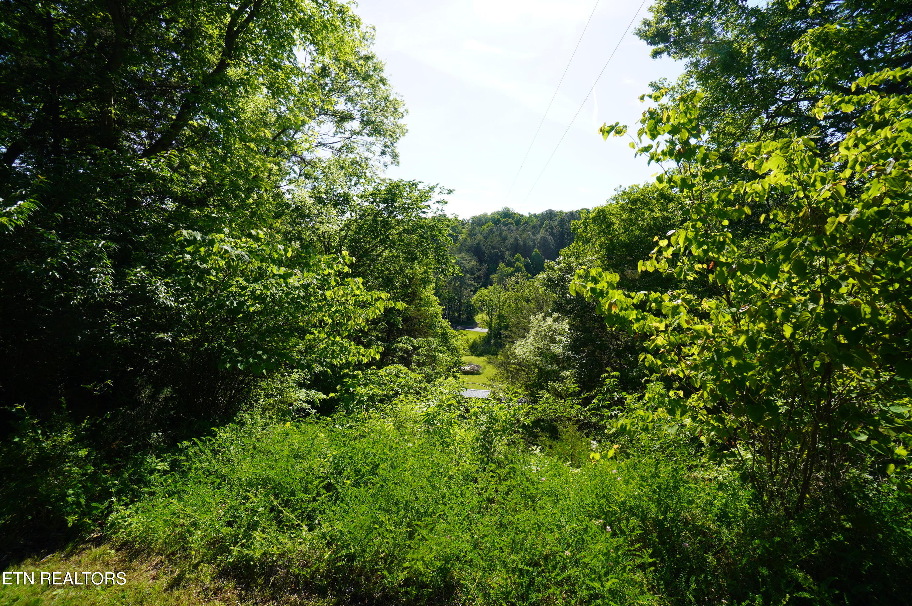 680 Hale Brook Road Newport TN 37821