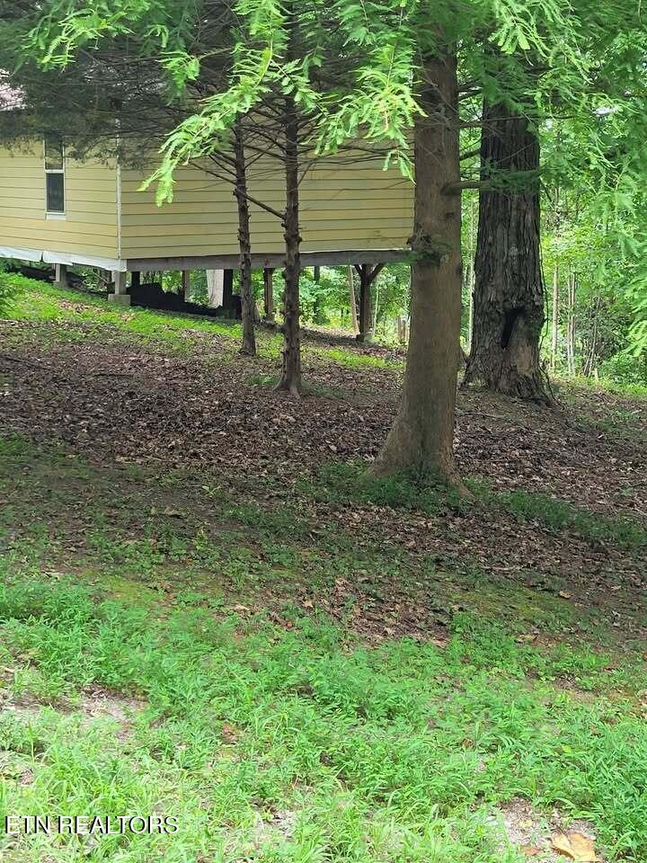 465 Sunset Ridge (Tract 1) Lane Hilham TN 38568