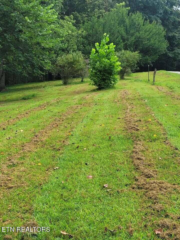 465 Sunset Ridge (Tract 1) Lane Hilham TN 38568