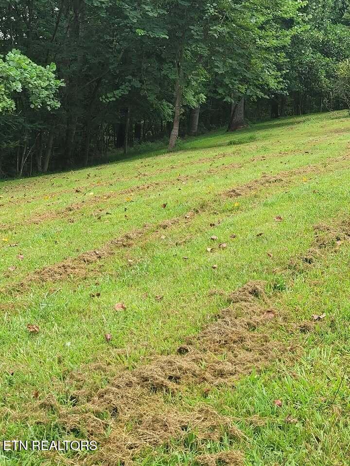 465 Sunset Ridge (Tract 1) Lane Hilham TN 38568
