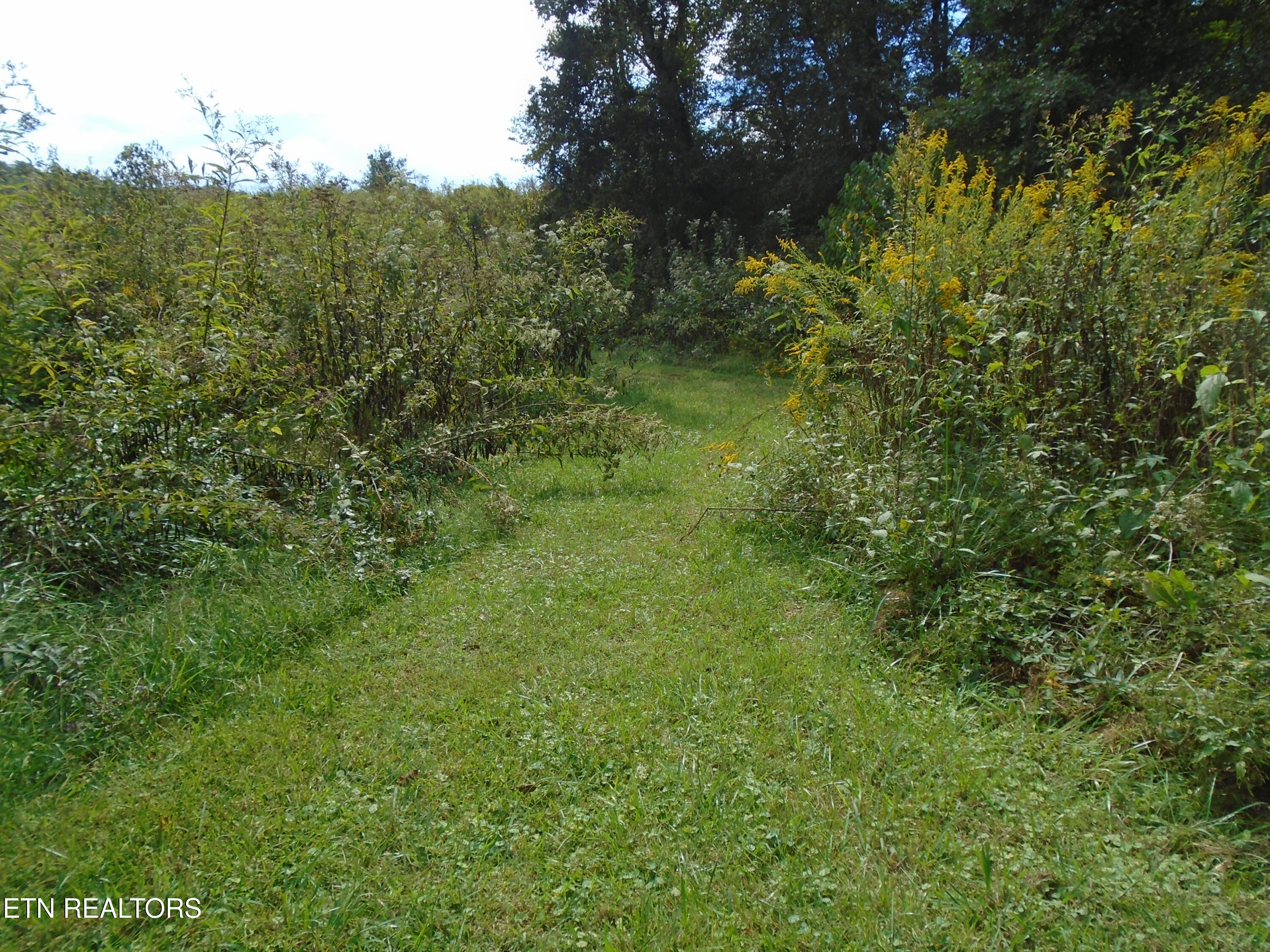 212 Dunlap Hollow Road Friendsville TN 37737