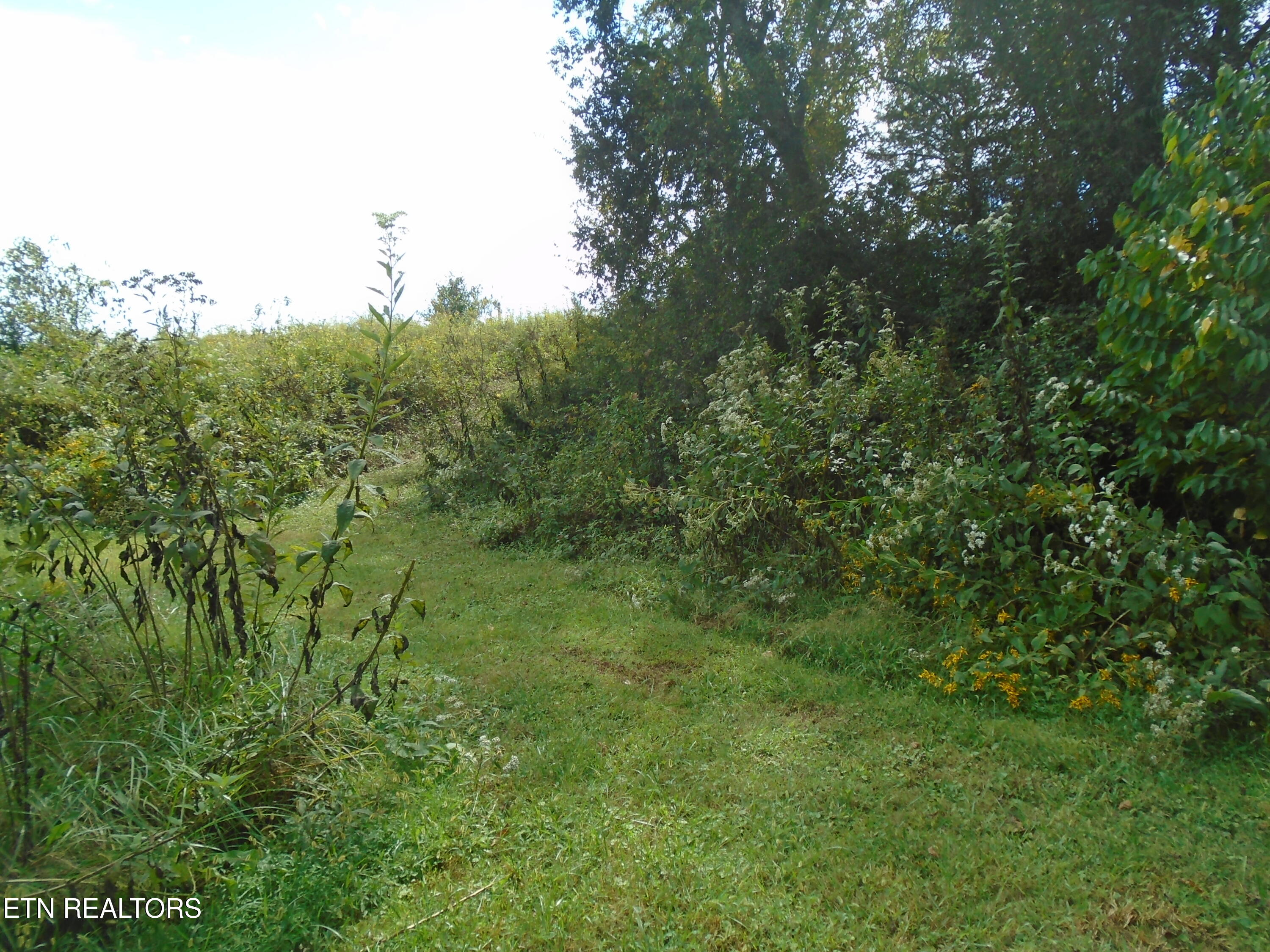 212 Dunlap Hollow Road Friendsville TN 37737