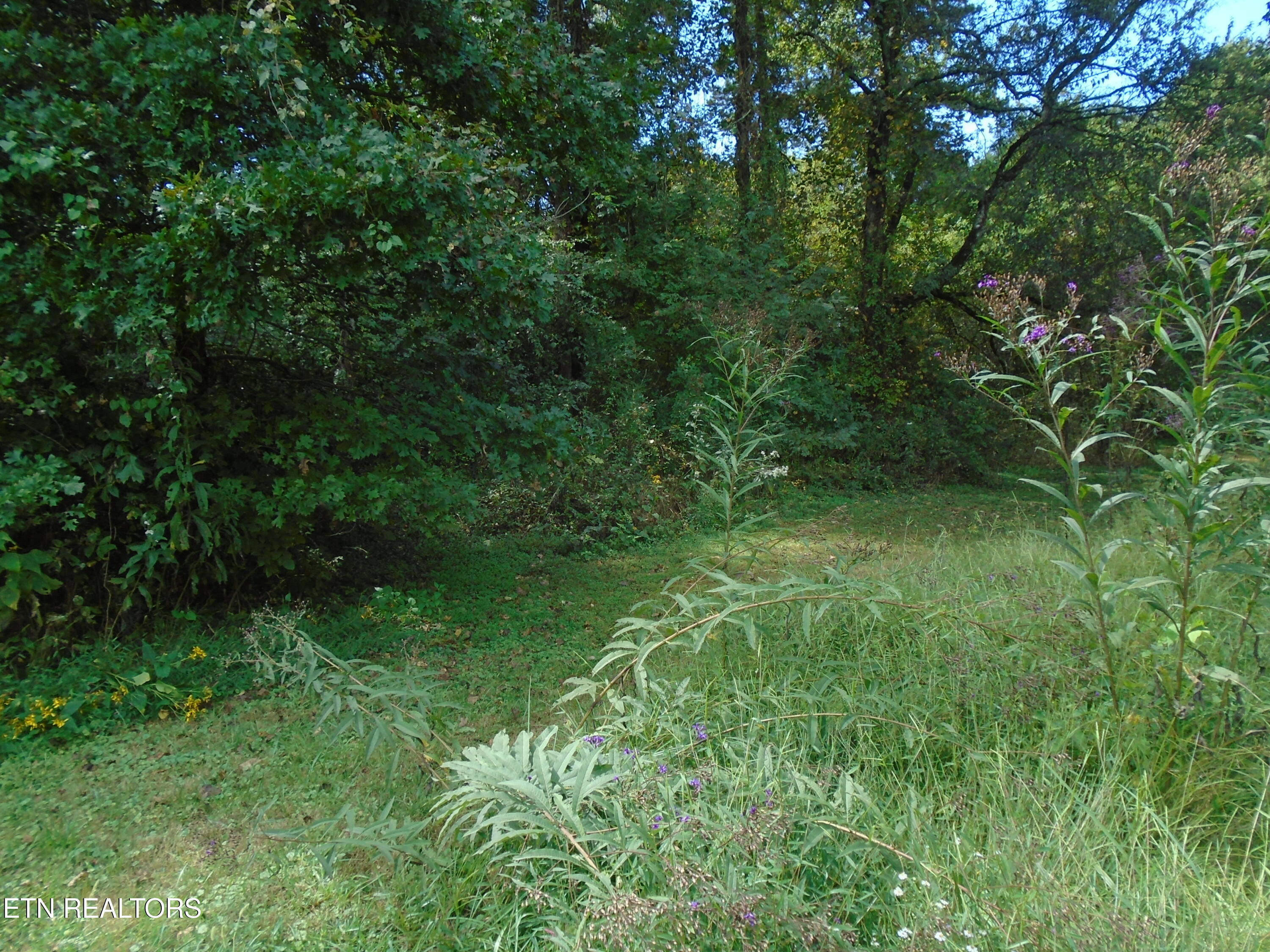 212 Dunlap Hollow Road Friendsville TN 37737