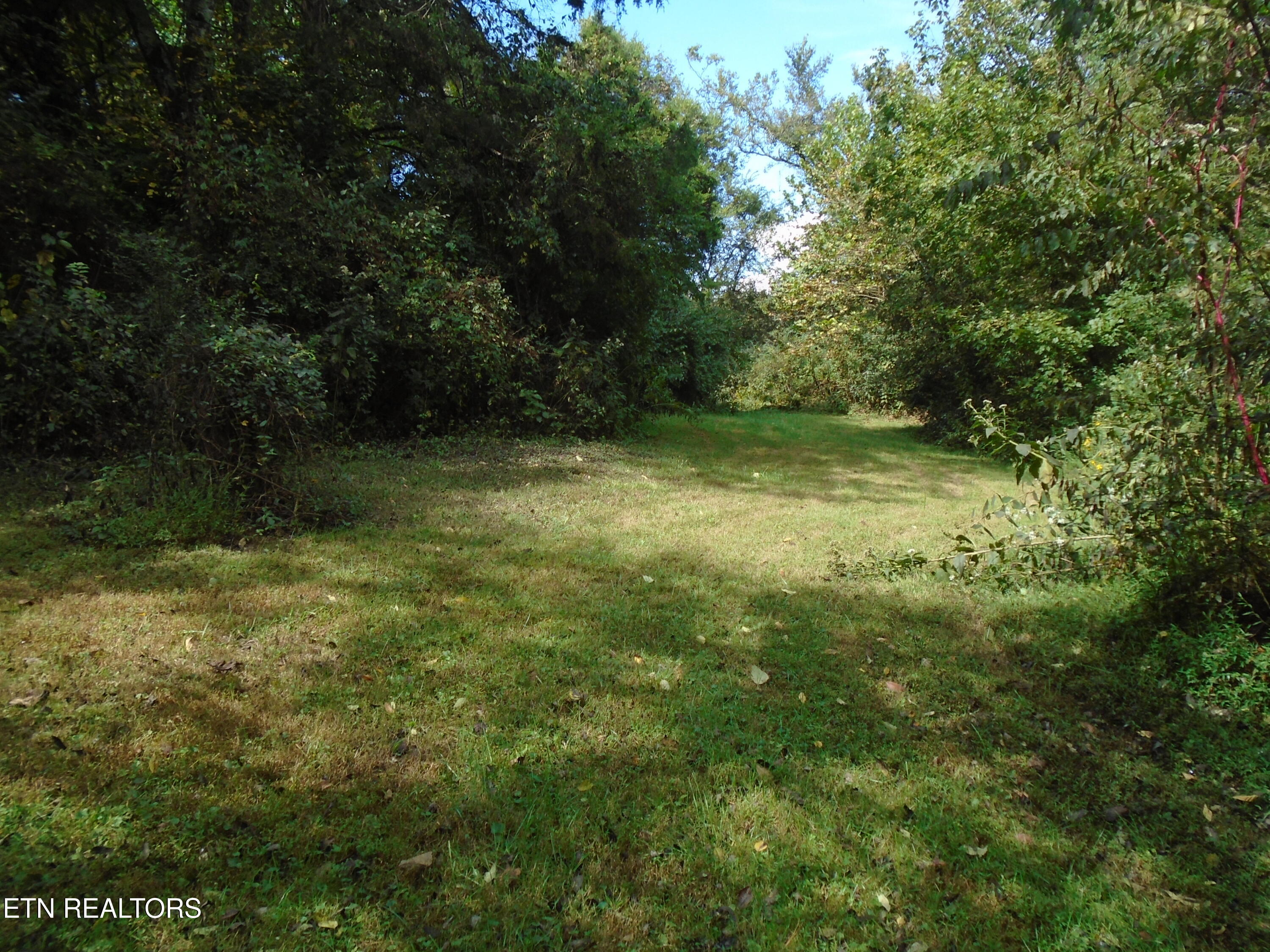 212 Dunlap Hollow Road Friendsville TN 37737