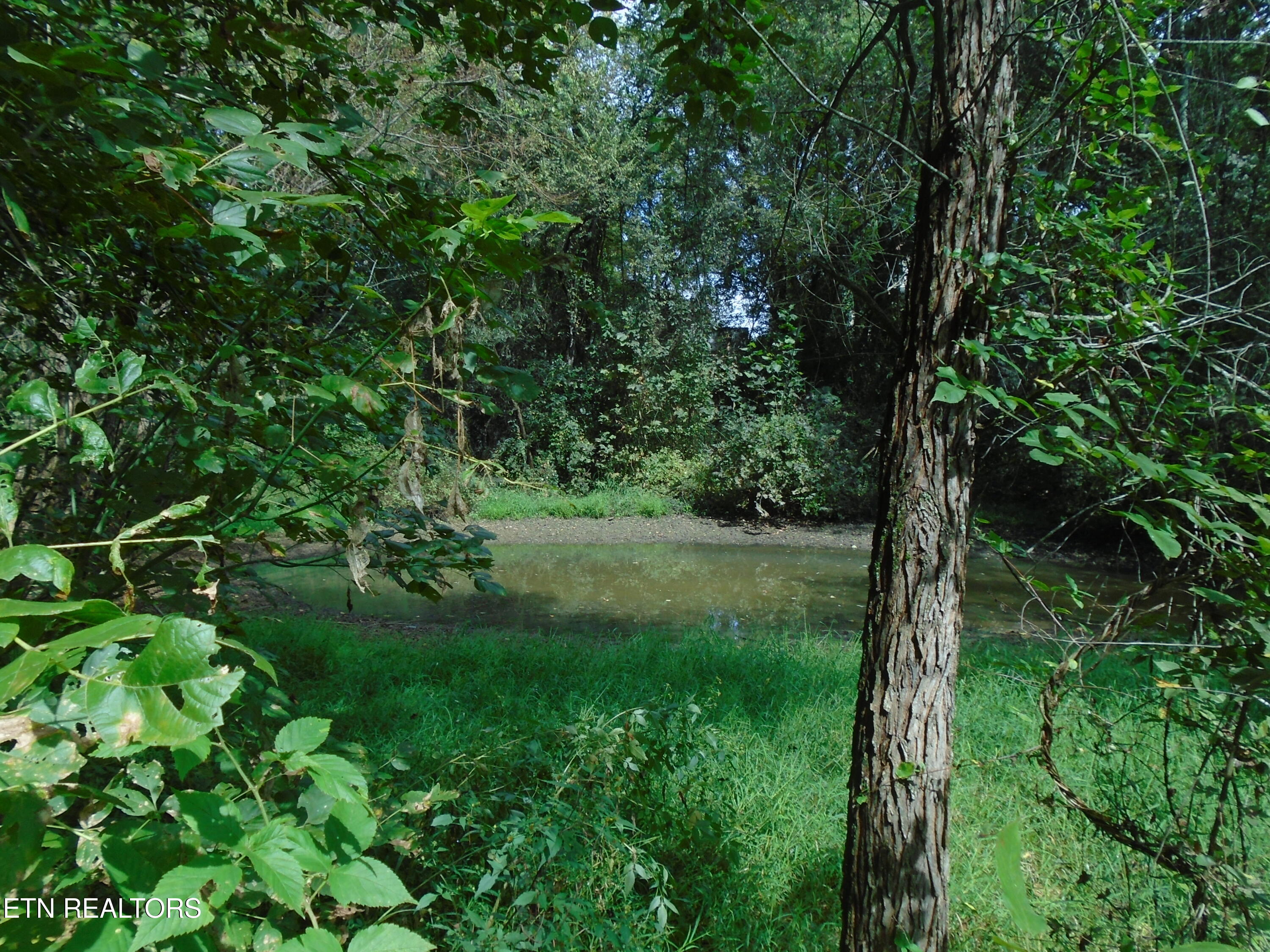 212 Dunlap Hollow Road Friendsville TN 37737