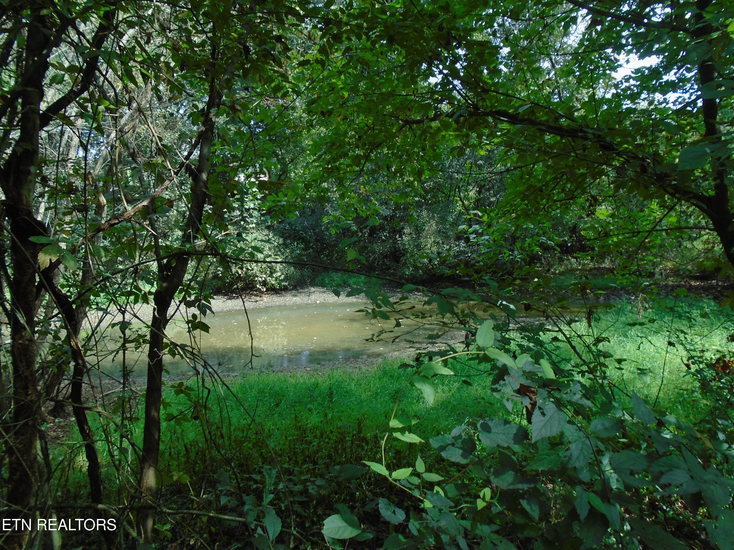 212 Dunlap Hollow Road Friendsville TN 37737