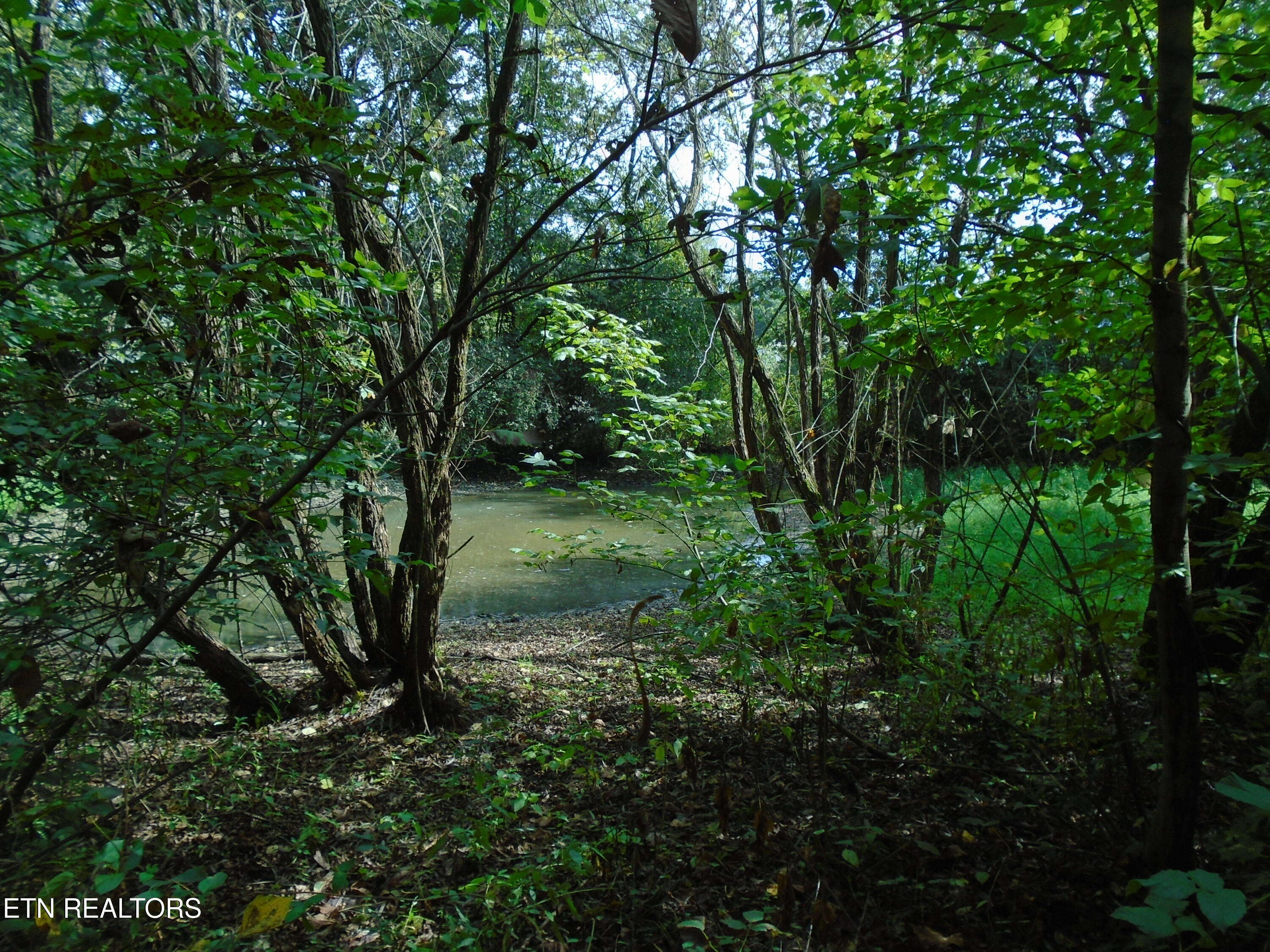 212 Dunlap Hollow Road Friendsville TN 37737