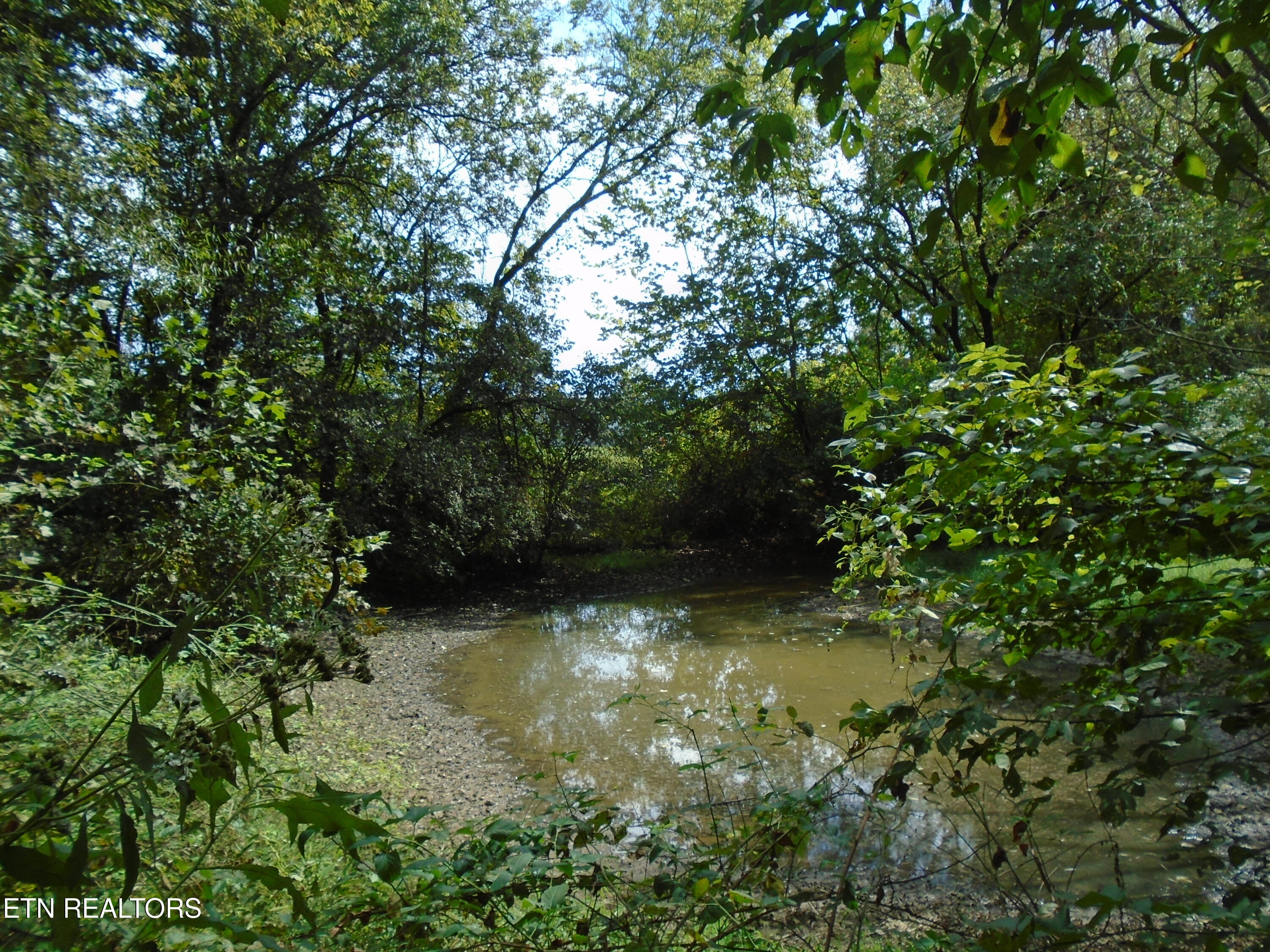 212 Dunlap Hollow Road Friendsville TN 37737