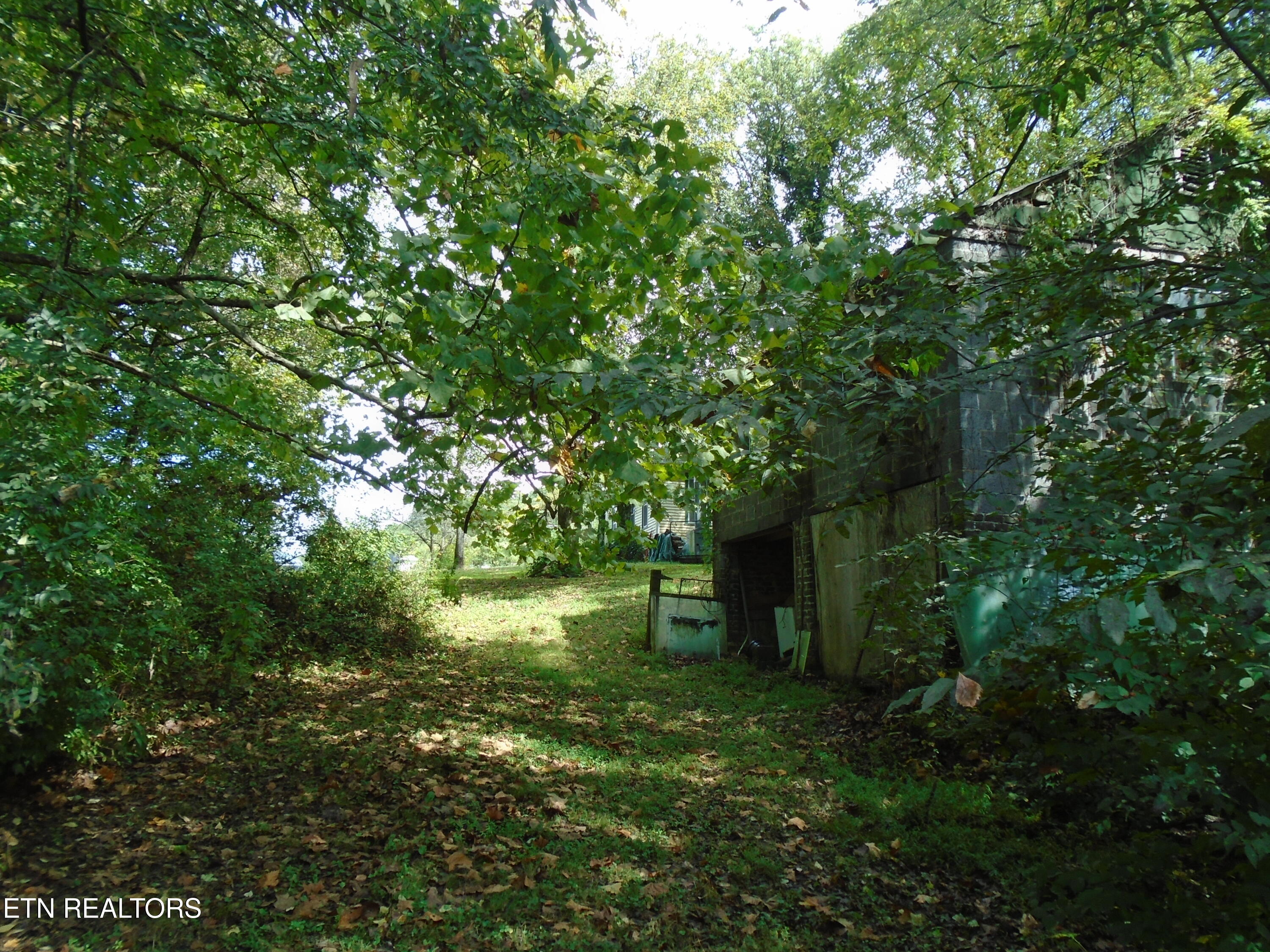 212 Dunlap Hollow Road Friendsville TN 37737