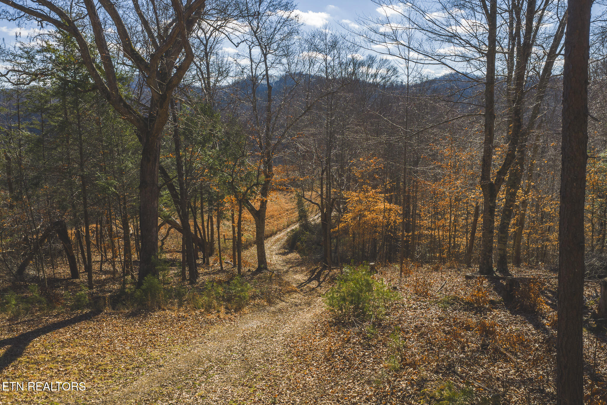 3381 Upper Caney Valley Road Tazewell TN 37879