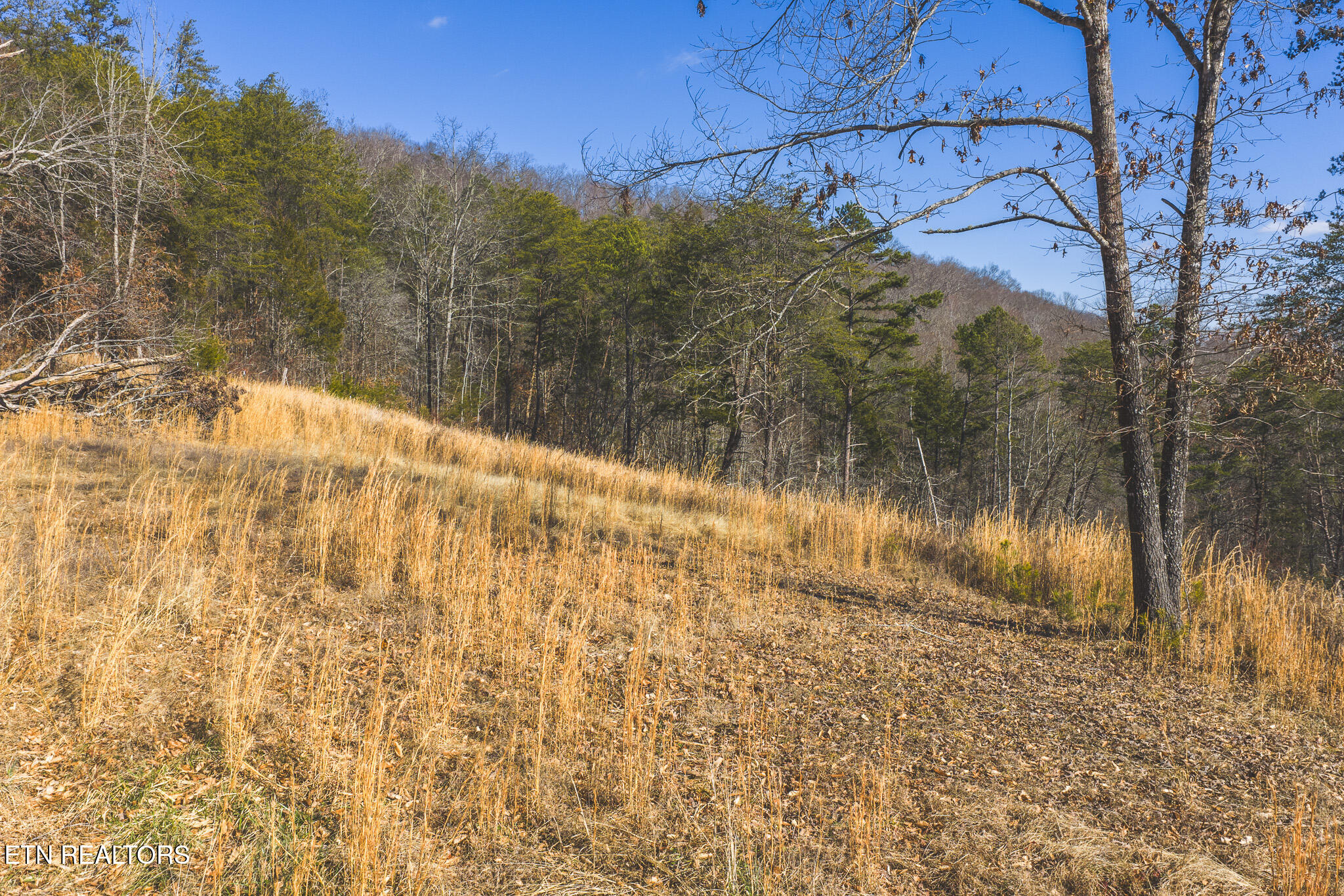 3381 Upper Caney Valley Road Tazewell TN 37879