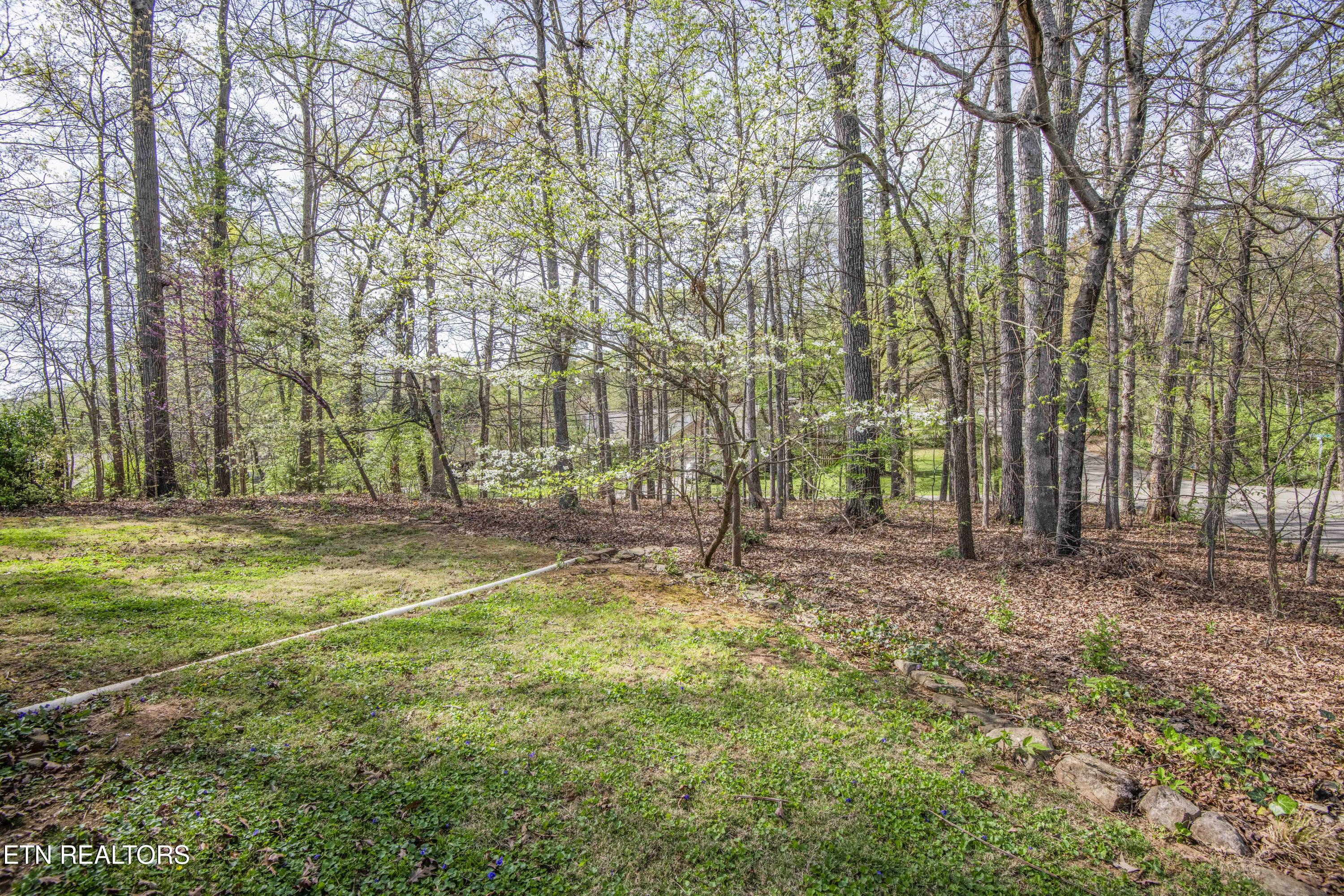 5201 Potomac Road Knoxville TN 37920
