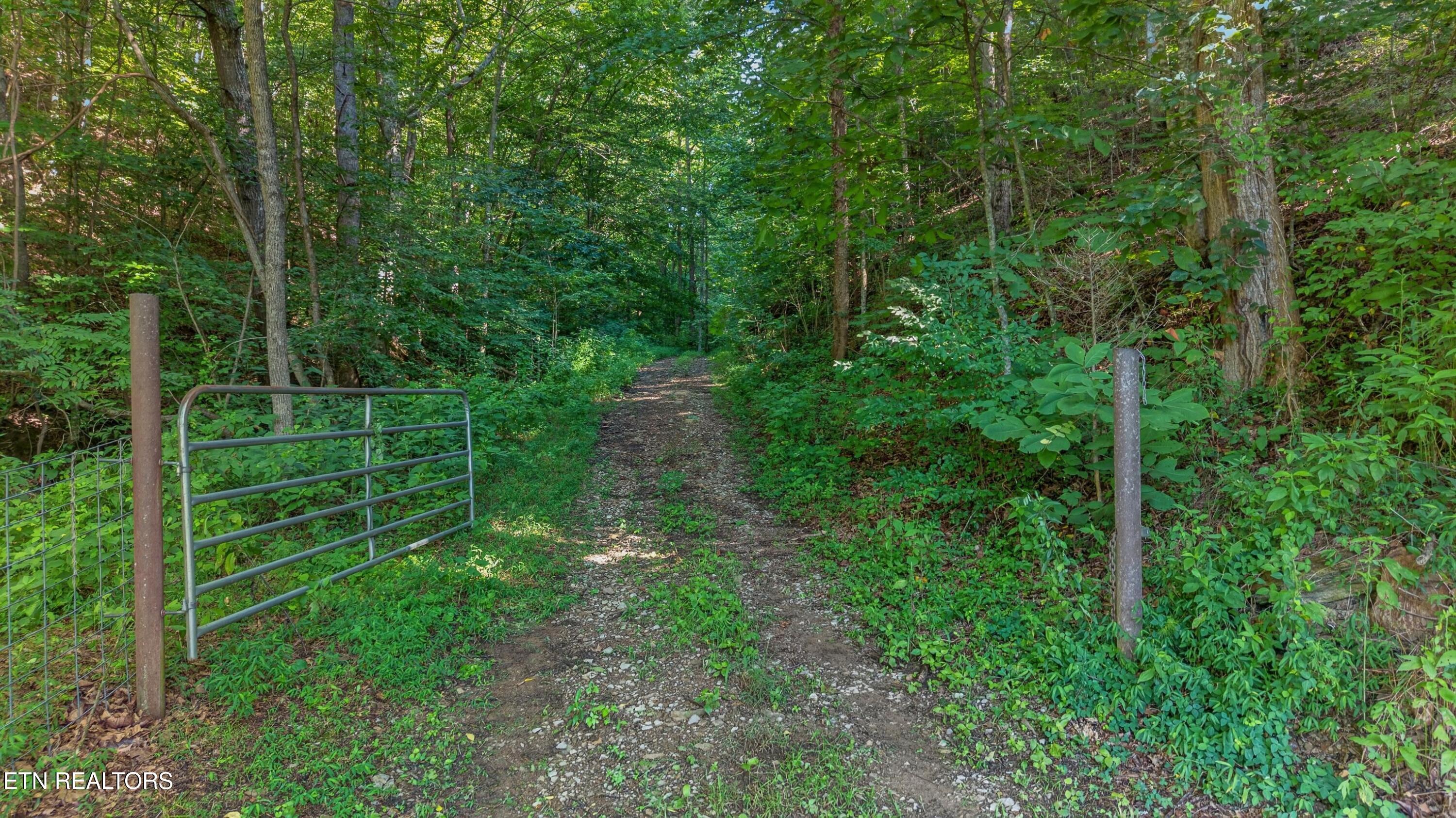 7020 Caney Valley Road Tazewell TN 37879