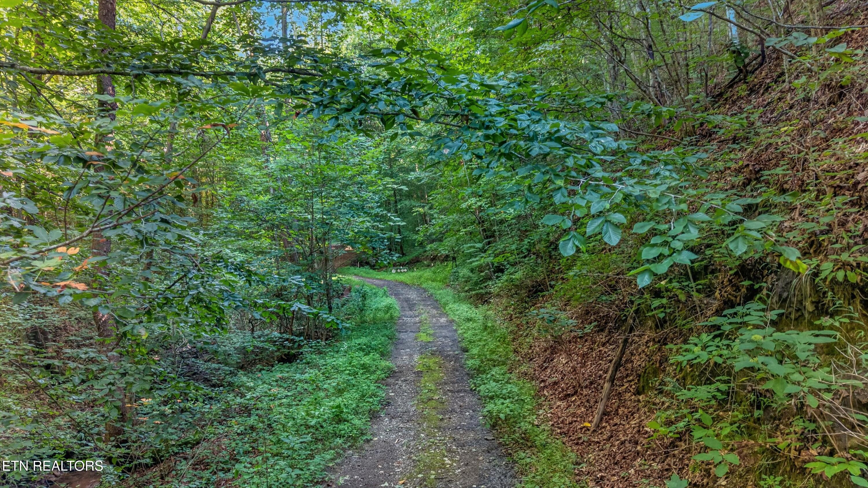 7020 Caney Valley Road Tazewell TN 37879