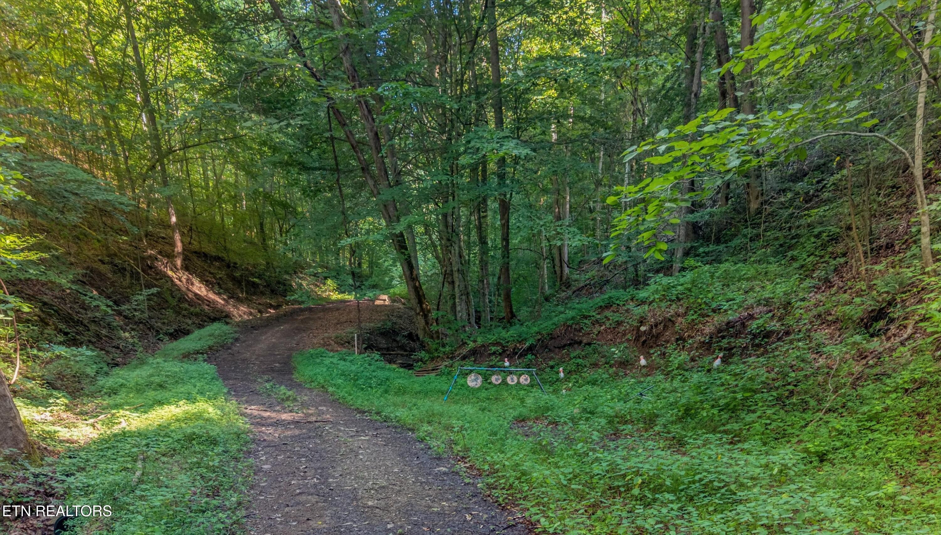 7020 Caney Valley Road Tazewell TN 37879