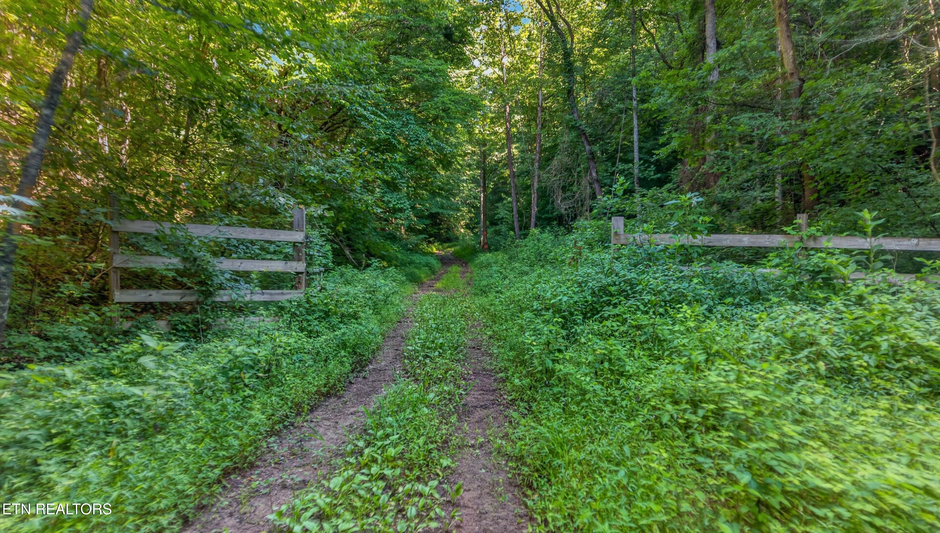 7020 Caney Valley Road Tazewell TN 37879