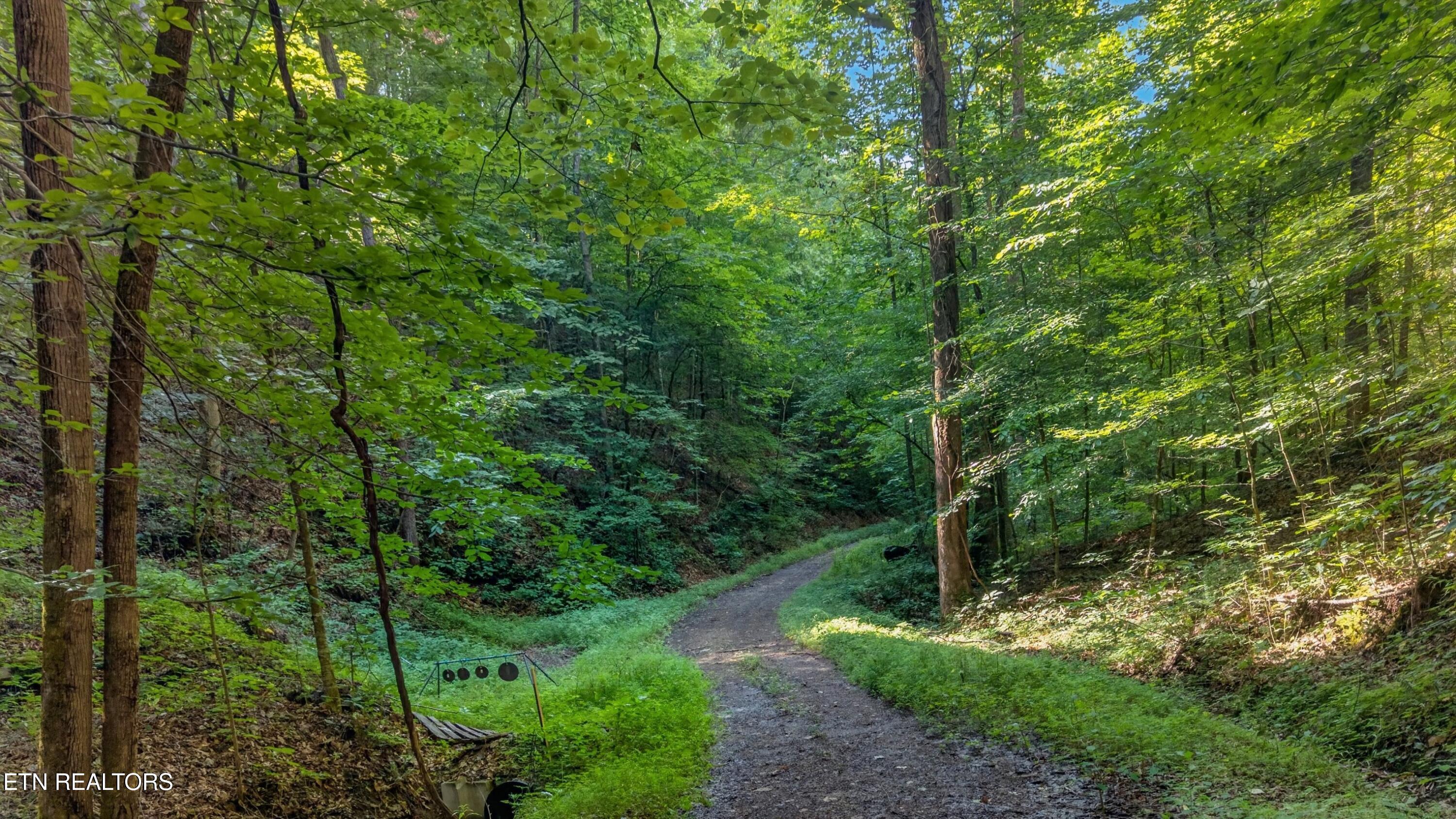 7020 Caney Valley Road Tazewell TN 37879