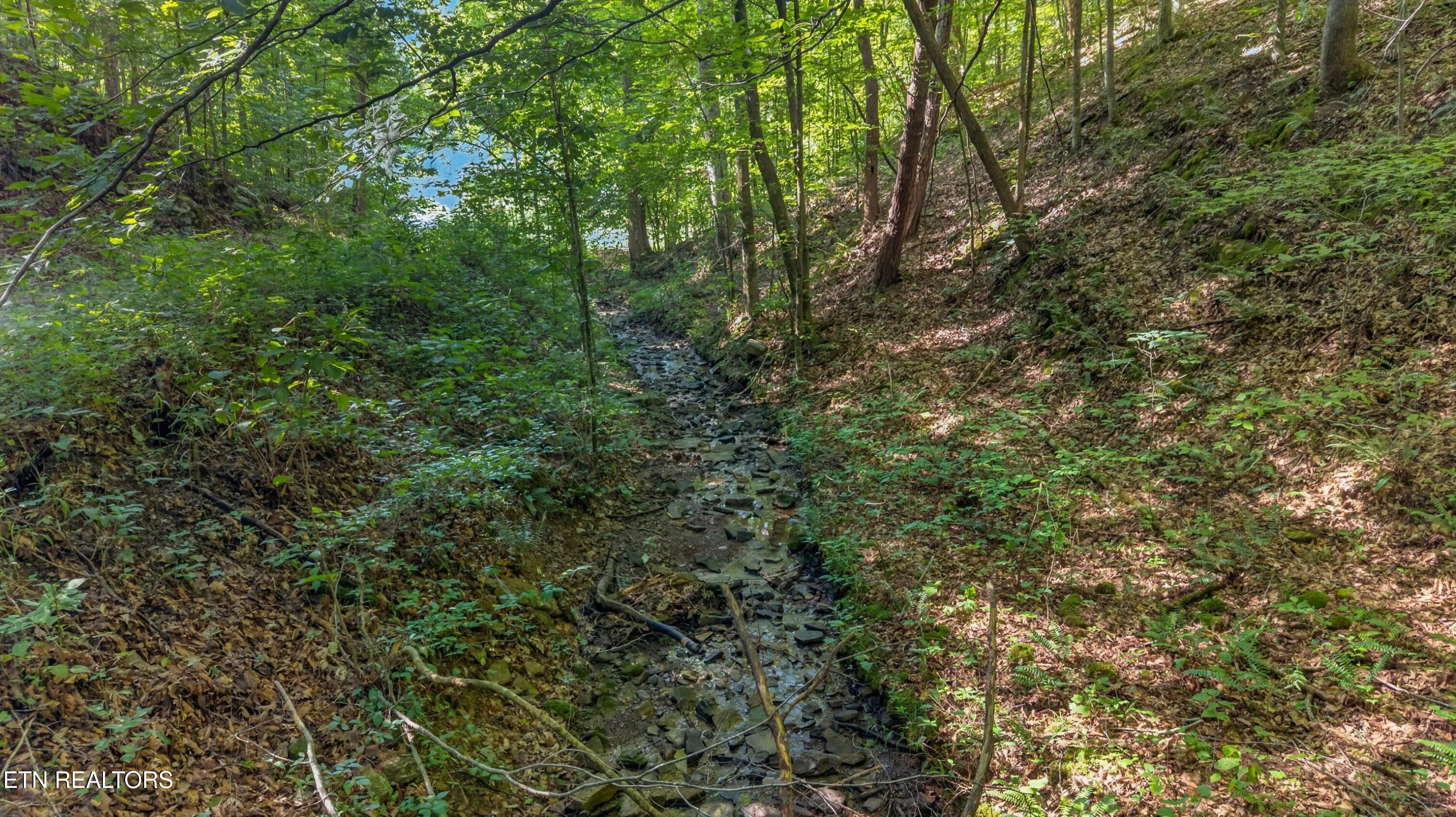 7020 Caney Valley Road Tazewell TN 37879
