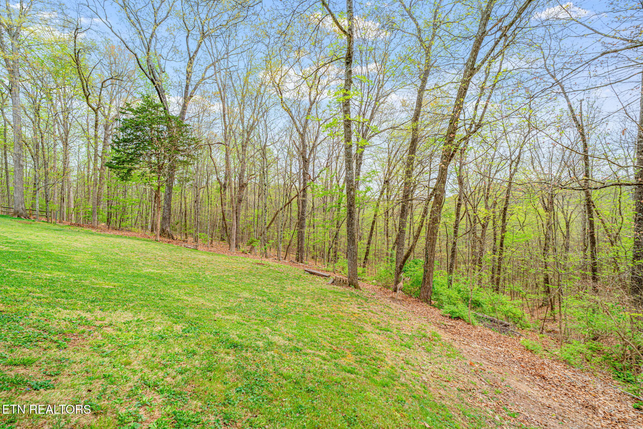 2002 Cypresswood Lane Knoxville TN 37932