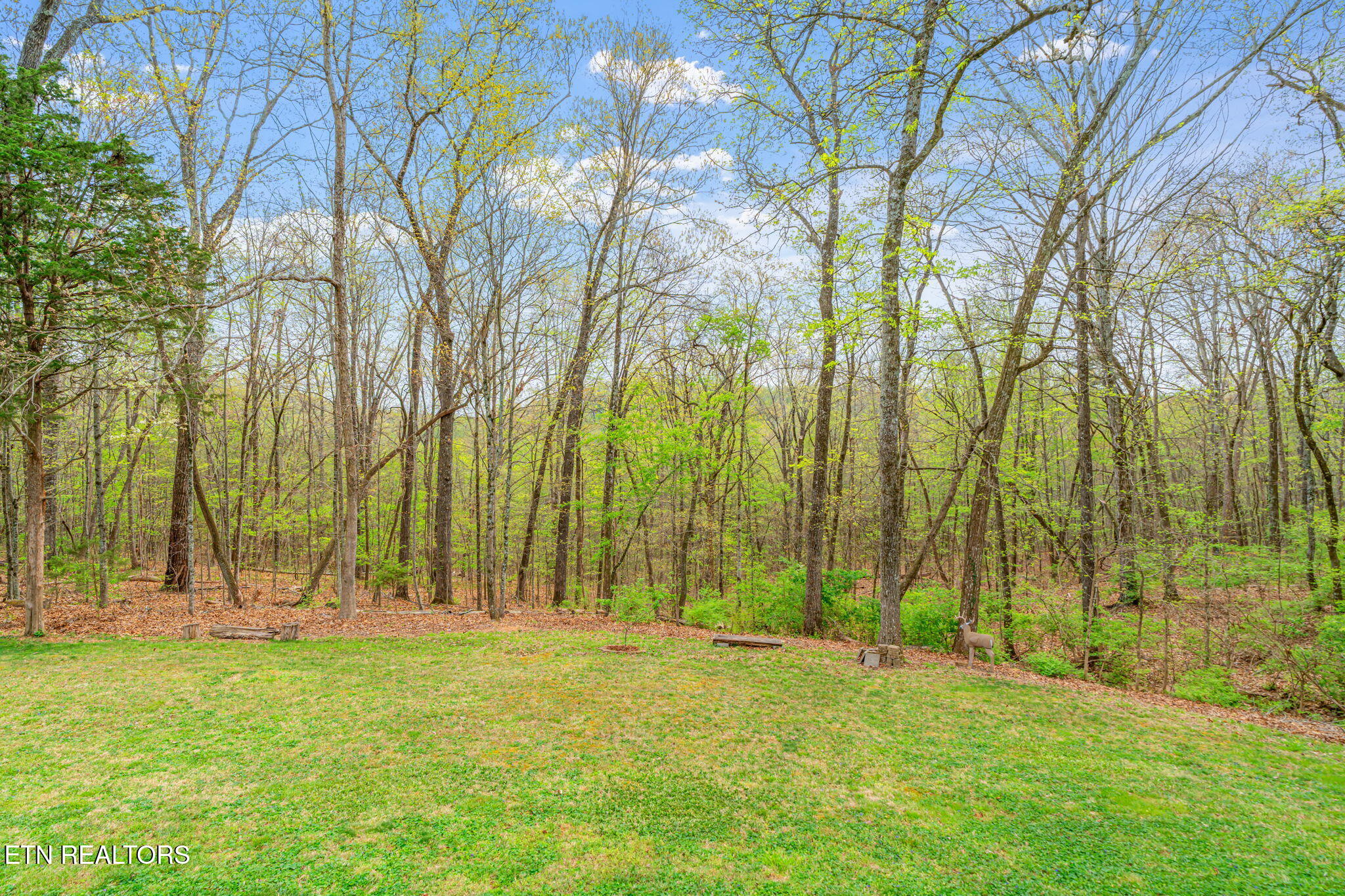 2002 Cypresswood Lane Knoxville TN 37932