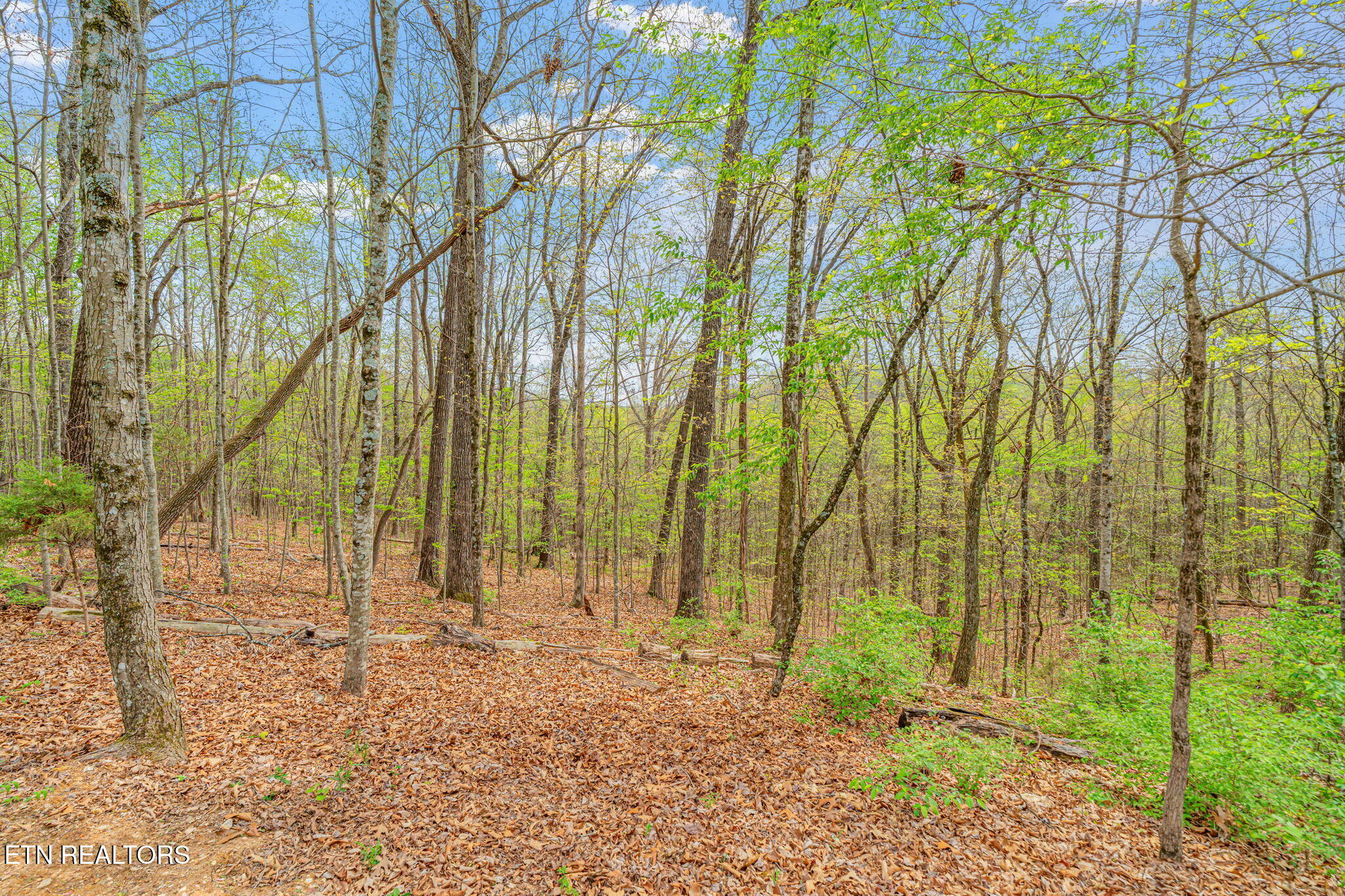 2002 Cypresswood Lane Knoxville TN 37932
