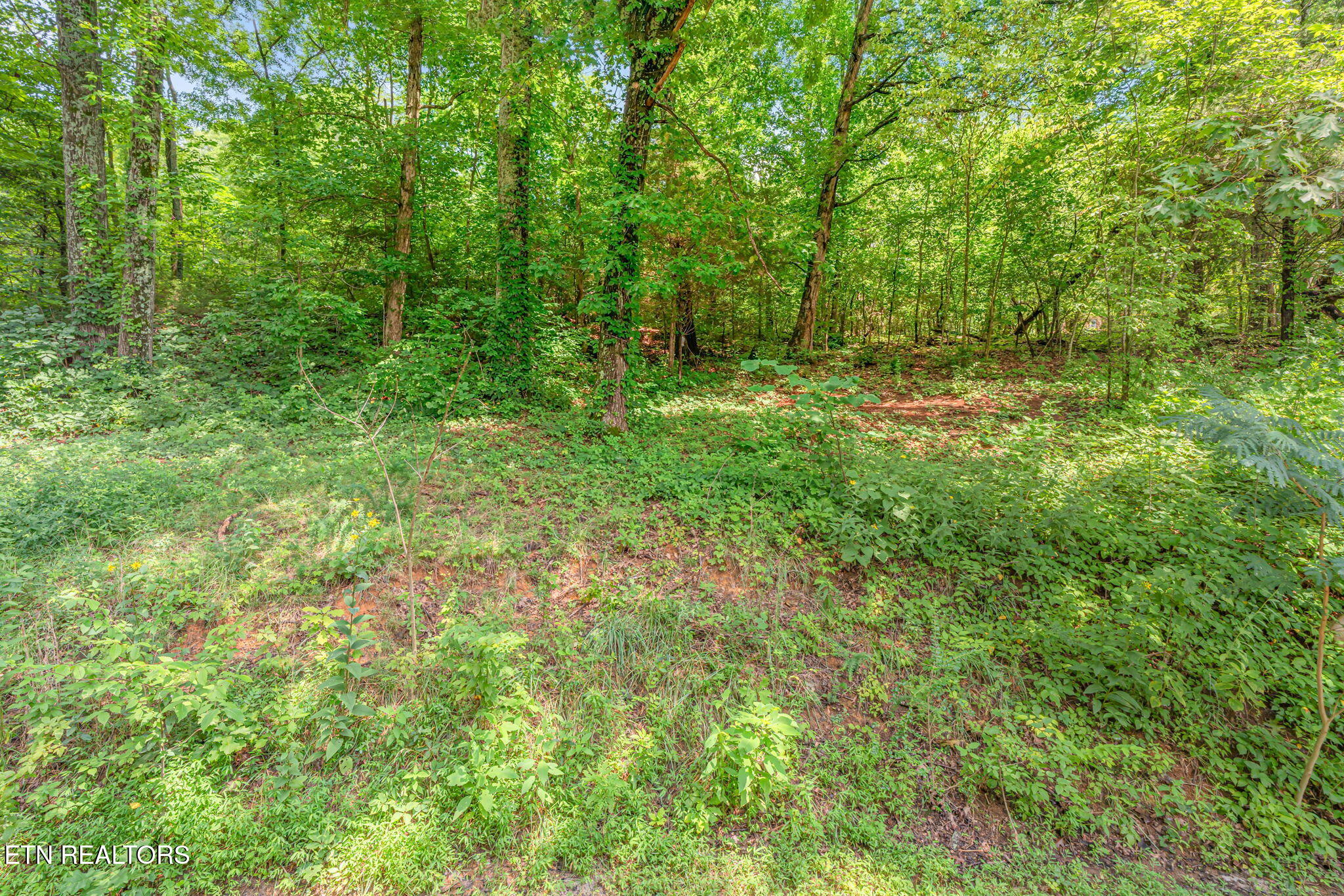 2156 Hiwassee Road Sweetwater TN 37874