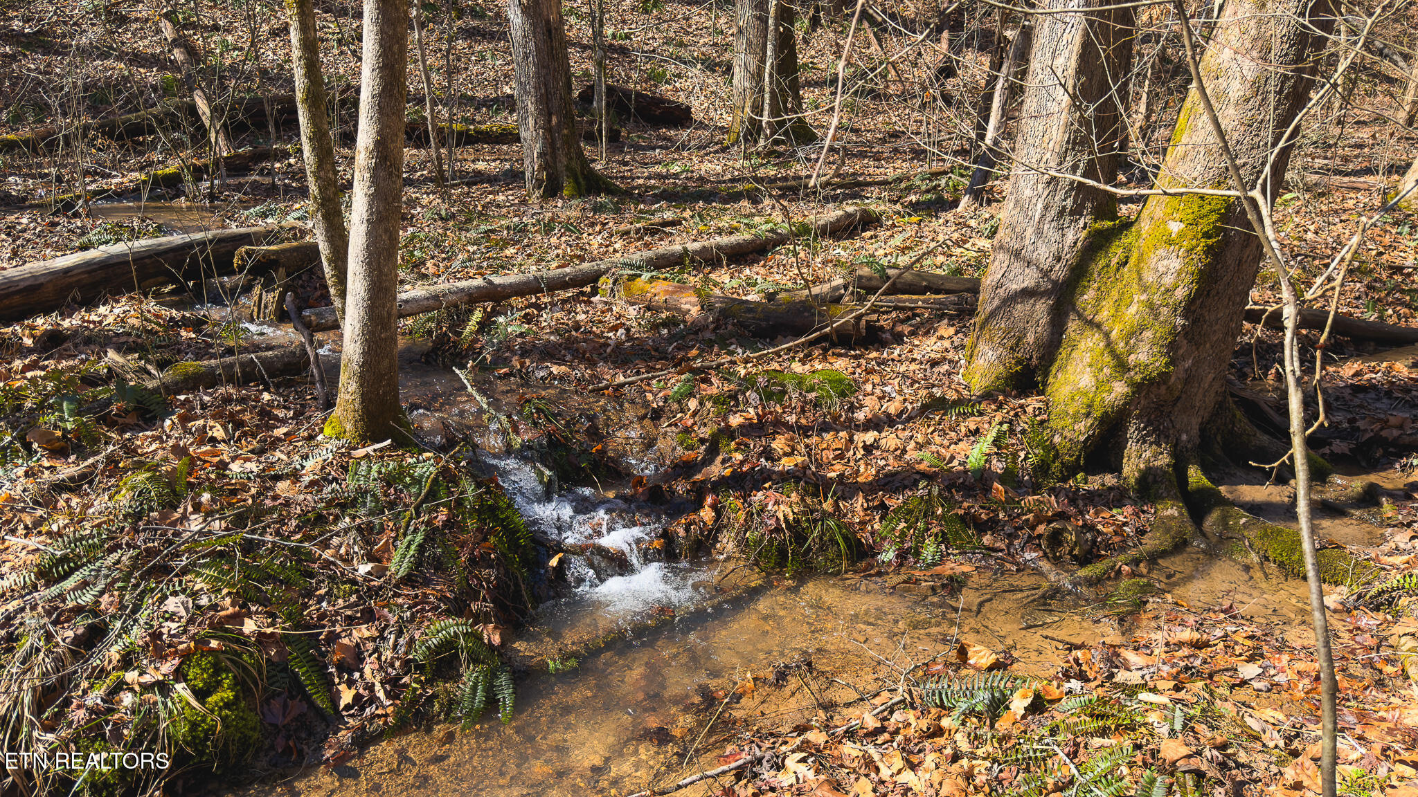 179 Sutton Hollow Road Sneedville TN 37869