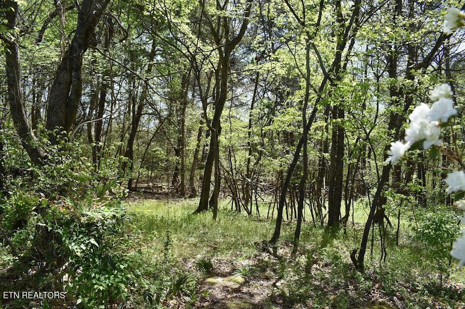 5314 Three Bars Lane Seymour TN 37865