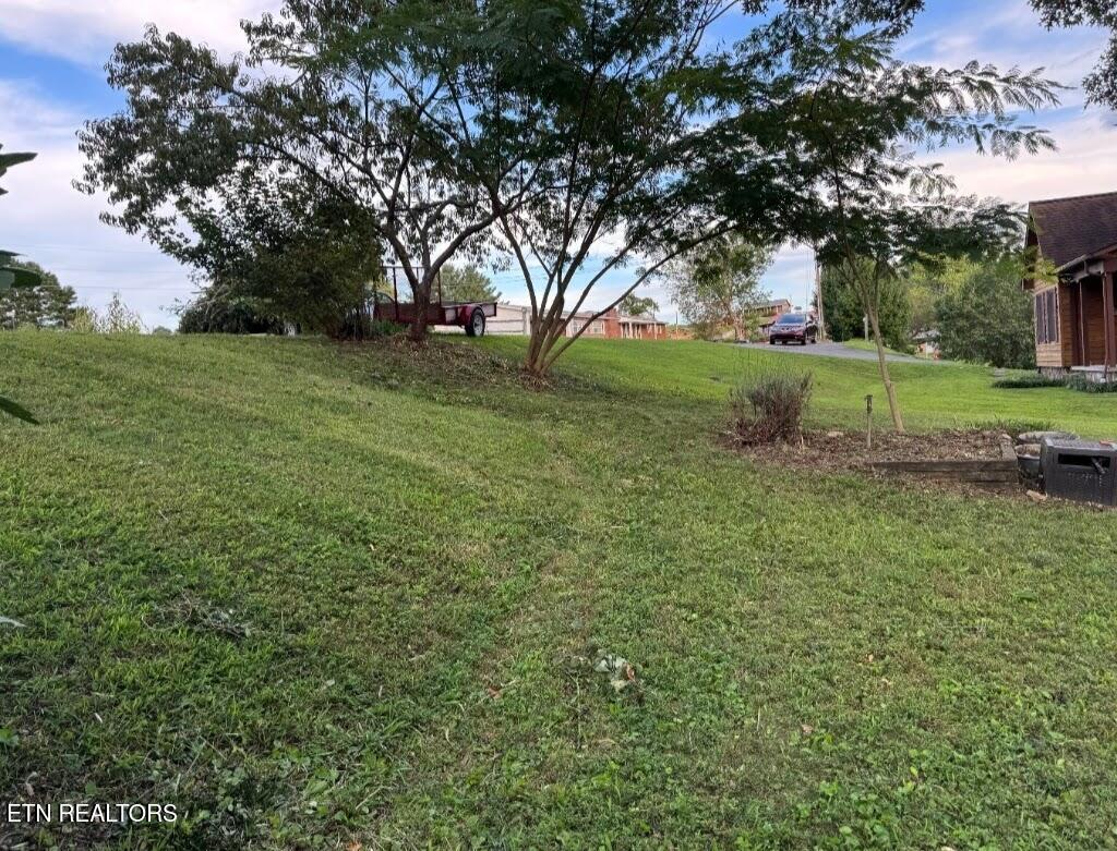 135 Osborne Lane Harrogate TN 37752