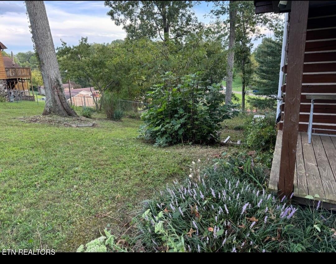 135 Osborne Lane Harrogate TN 37752