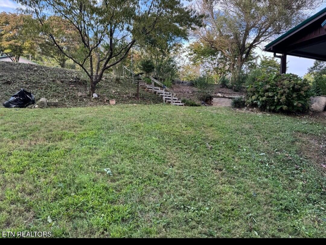 135 Osborne Lane Harrogate TN 37752