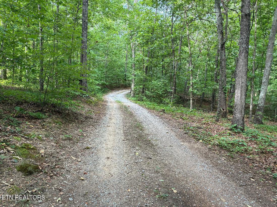 170 County Road 709 Riceville TN 37370