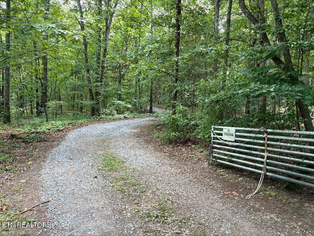 170 County Road 709 Riceville TN 37370