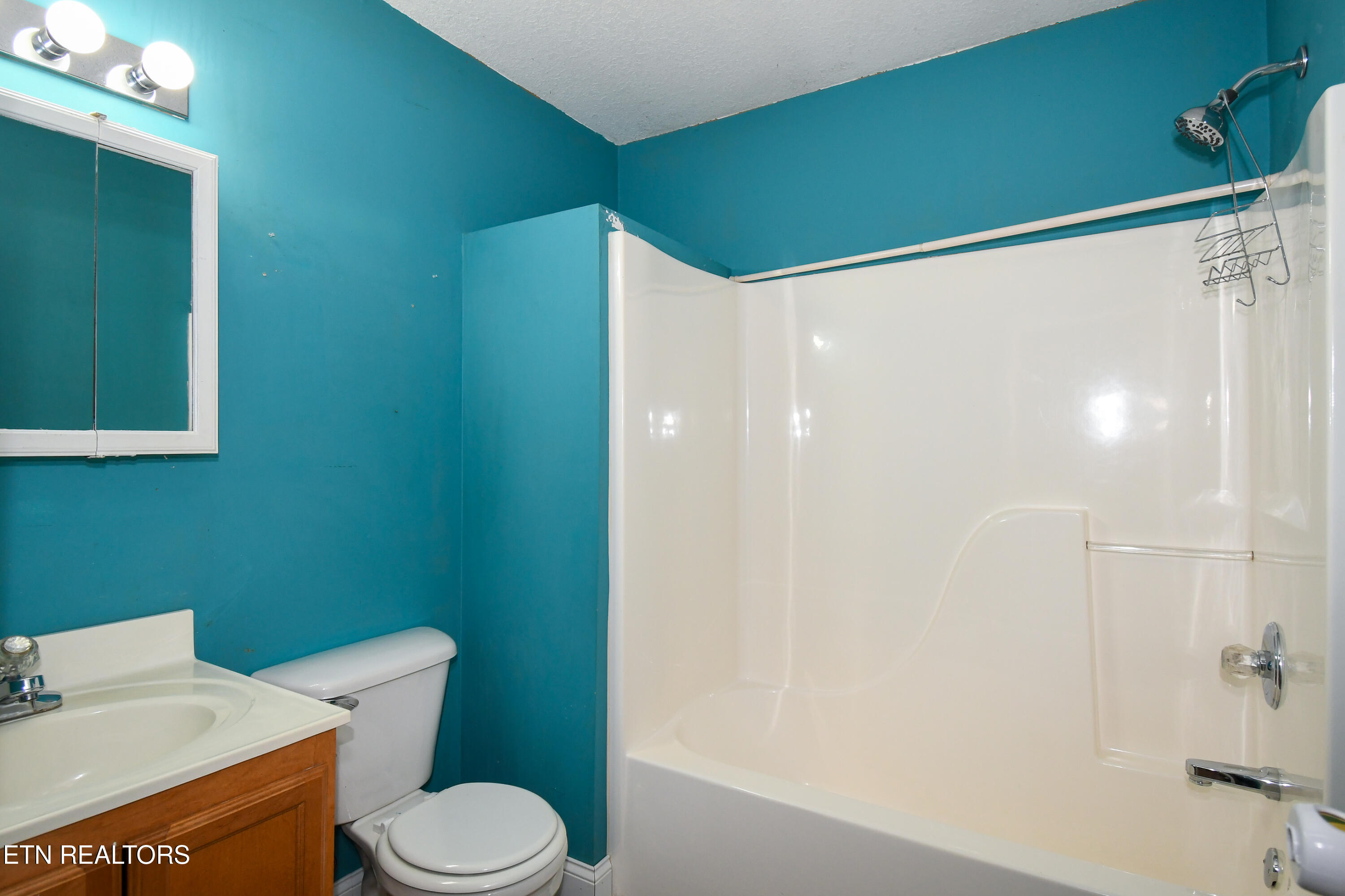 1519 Diamond Head Way Friendsville TN 37737