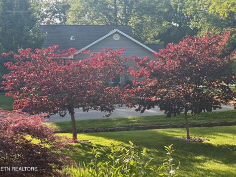 161 Greenwood Road Crossville TN 38558